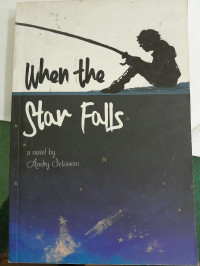 Image of When The Star Falls